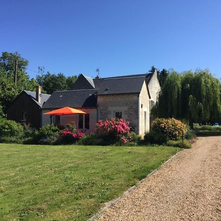 Gite De La Cale De La Clauderie Rigny-Ussé Kültér fotó